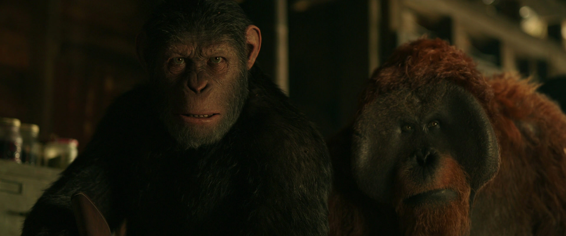 War for the Planet of the Apes (2017) screencap 3507