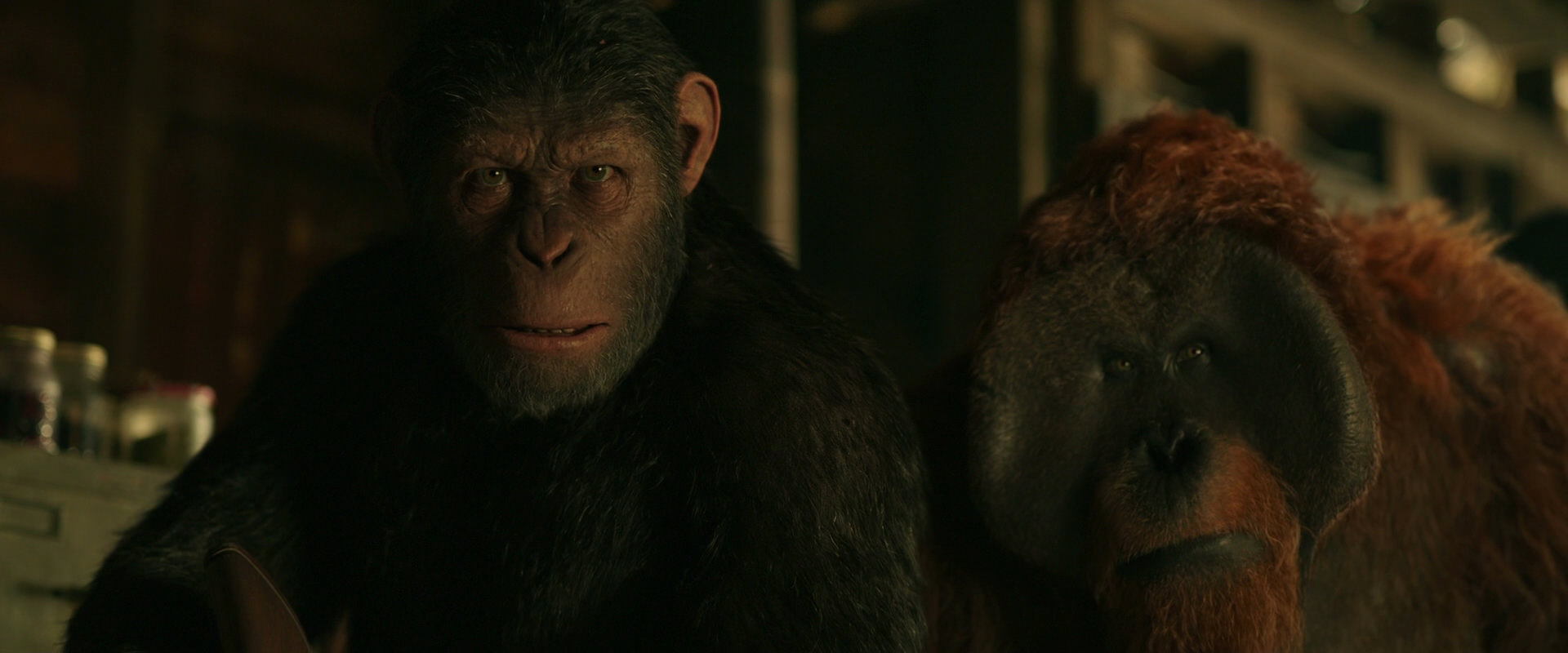 War for the Planet of the Apes (2017) movie still 3508