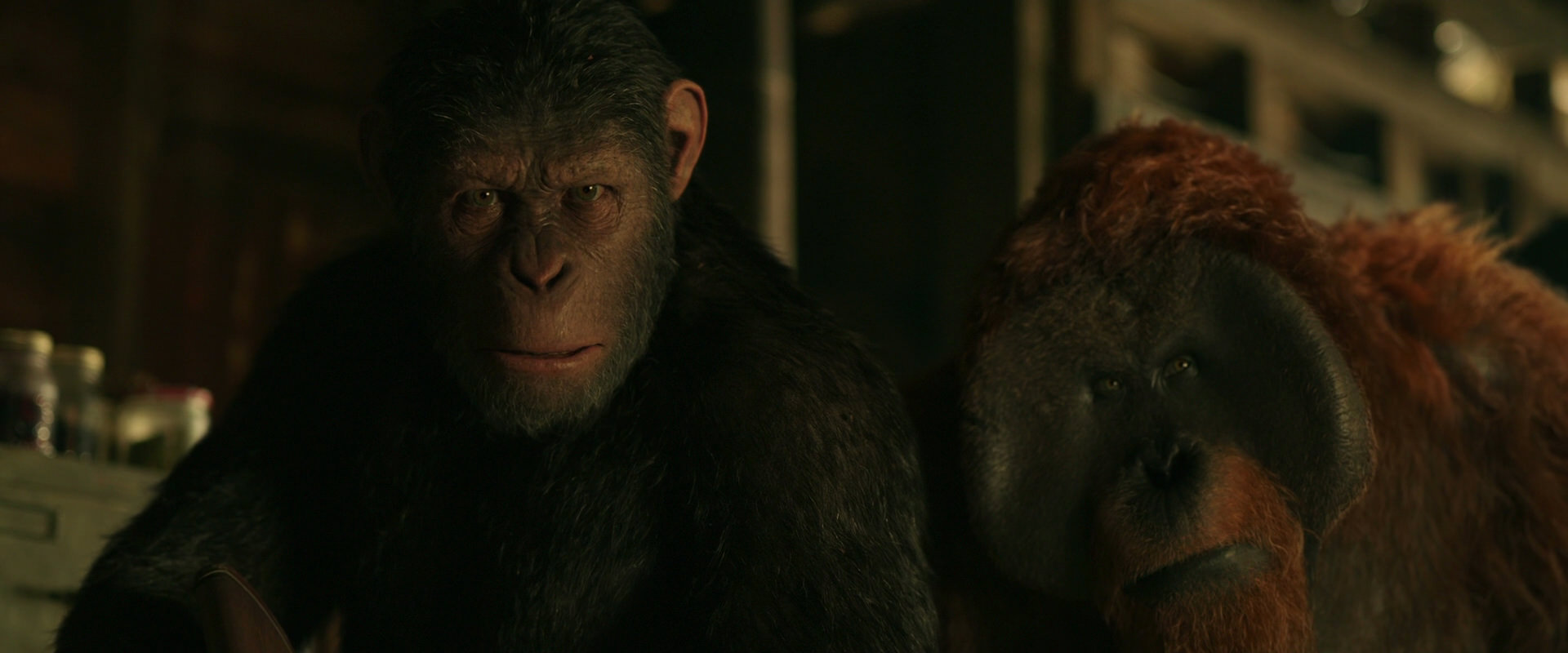 War for the Planet of the Apes (2017) screencap 3510