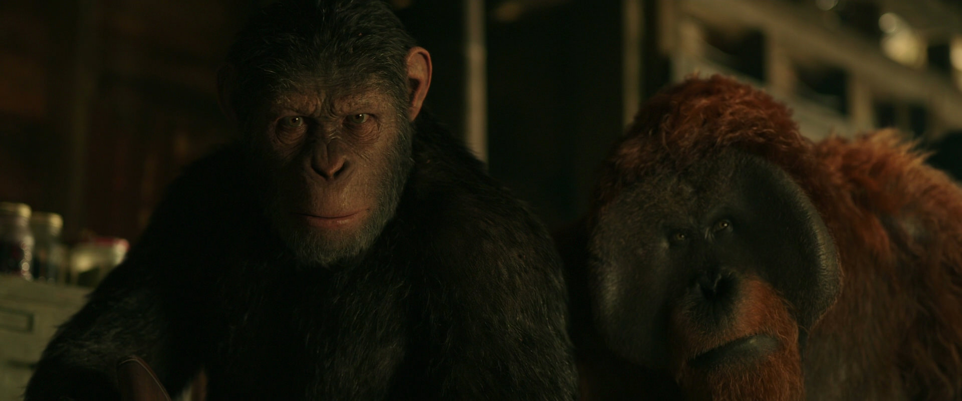 War for the Planet of the Apes (2017) movie still 3511