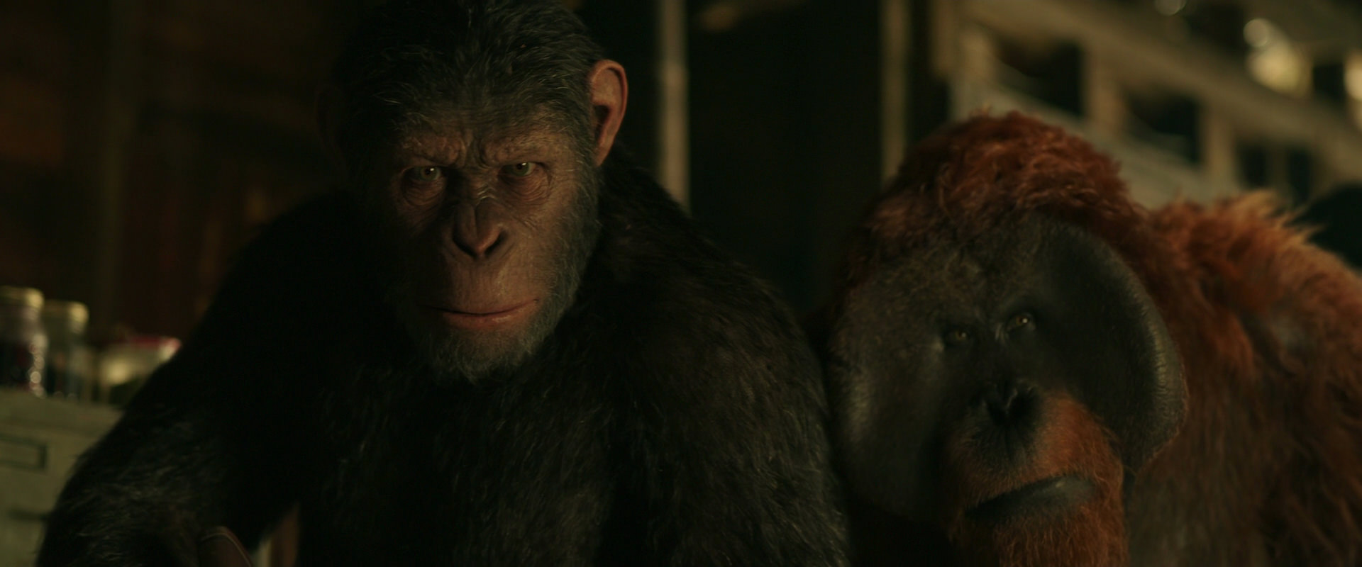 War for the Planet of the Apes (2017) HD screenshot 3512