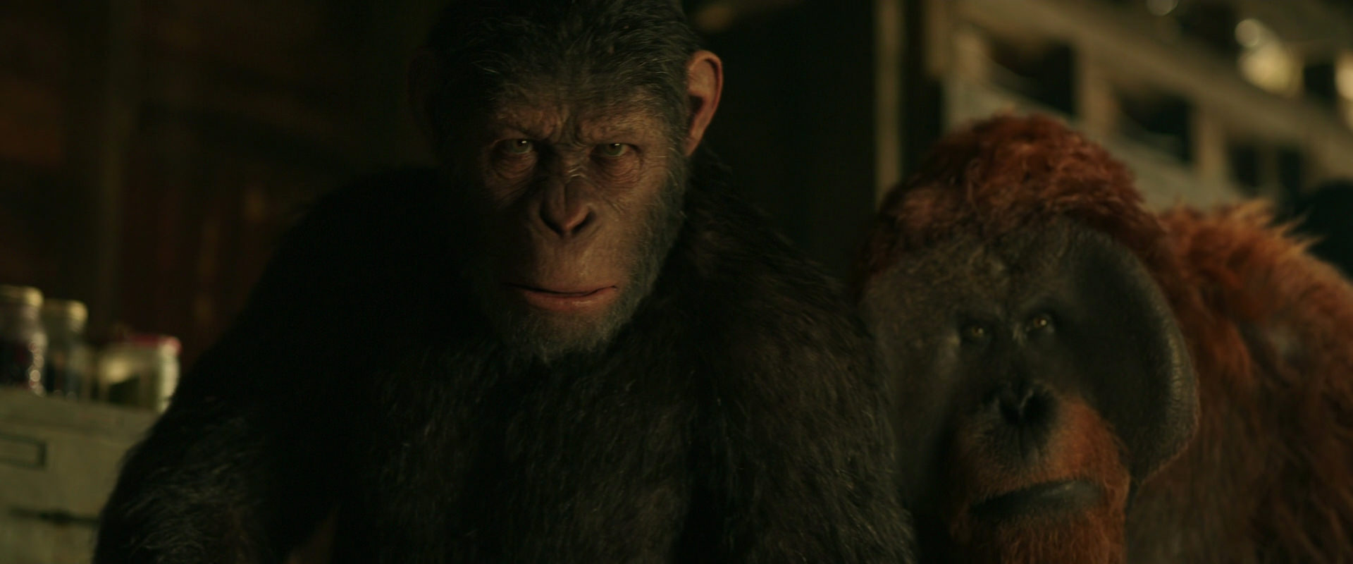 War for the Planet of the Apes (2017) screencap 3513