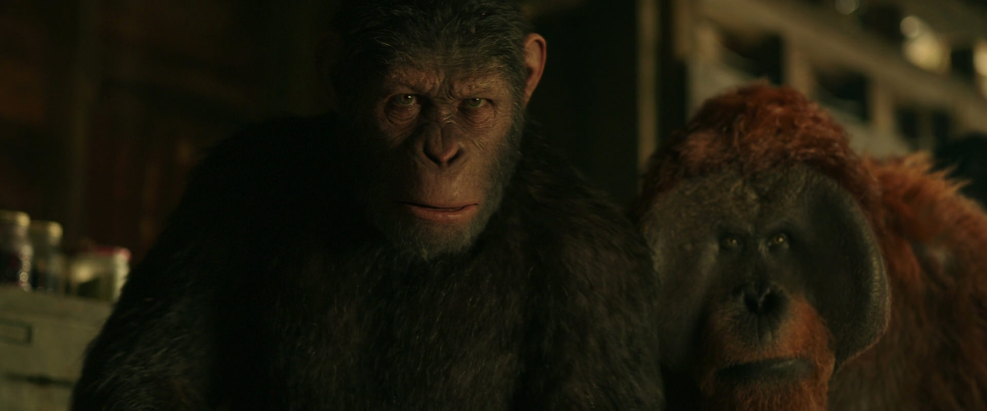 War for the Planet of the Apes (2017) movie still 3514