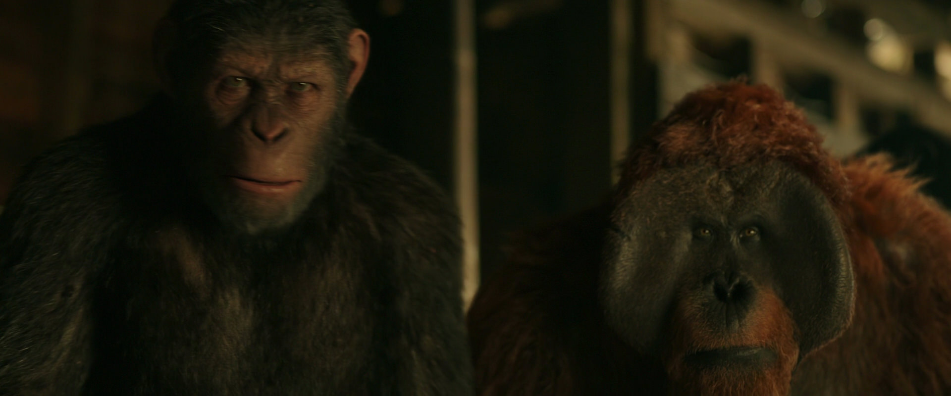 War for the Planet of the Apes (2017) HD screenshot 3515