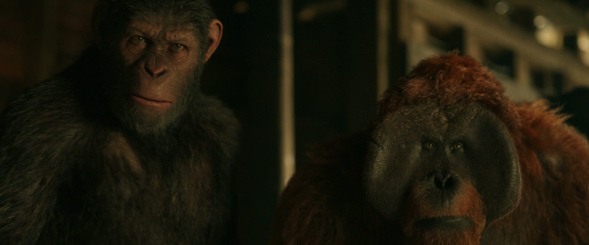 War for the Planet of the Apes (2017) screencap 3516