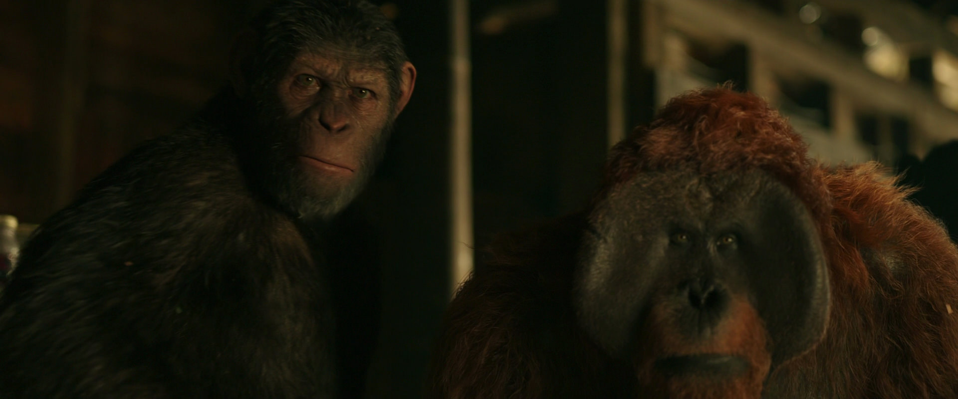 War for the Planet of the Apes (2017) movie still 3517