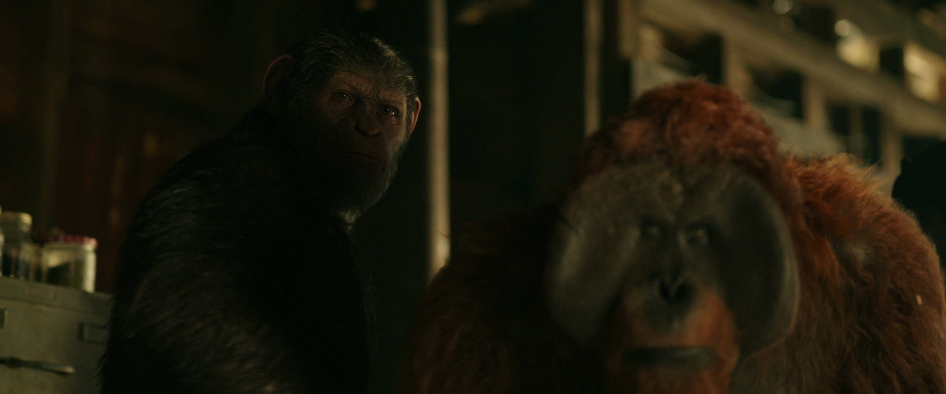 War for the Planet of the Apes (2017) HD screenshot 3518