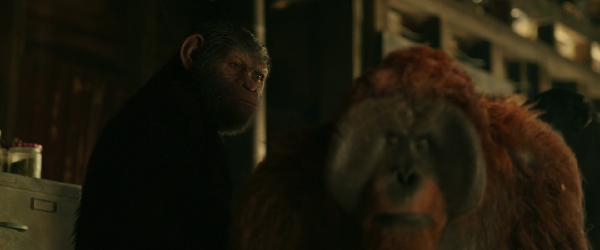 War for the Planet of the Apes (2017) screencap 3519