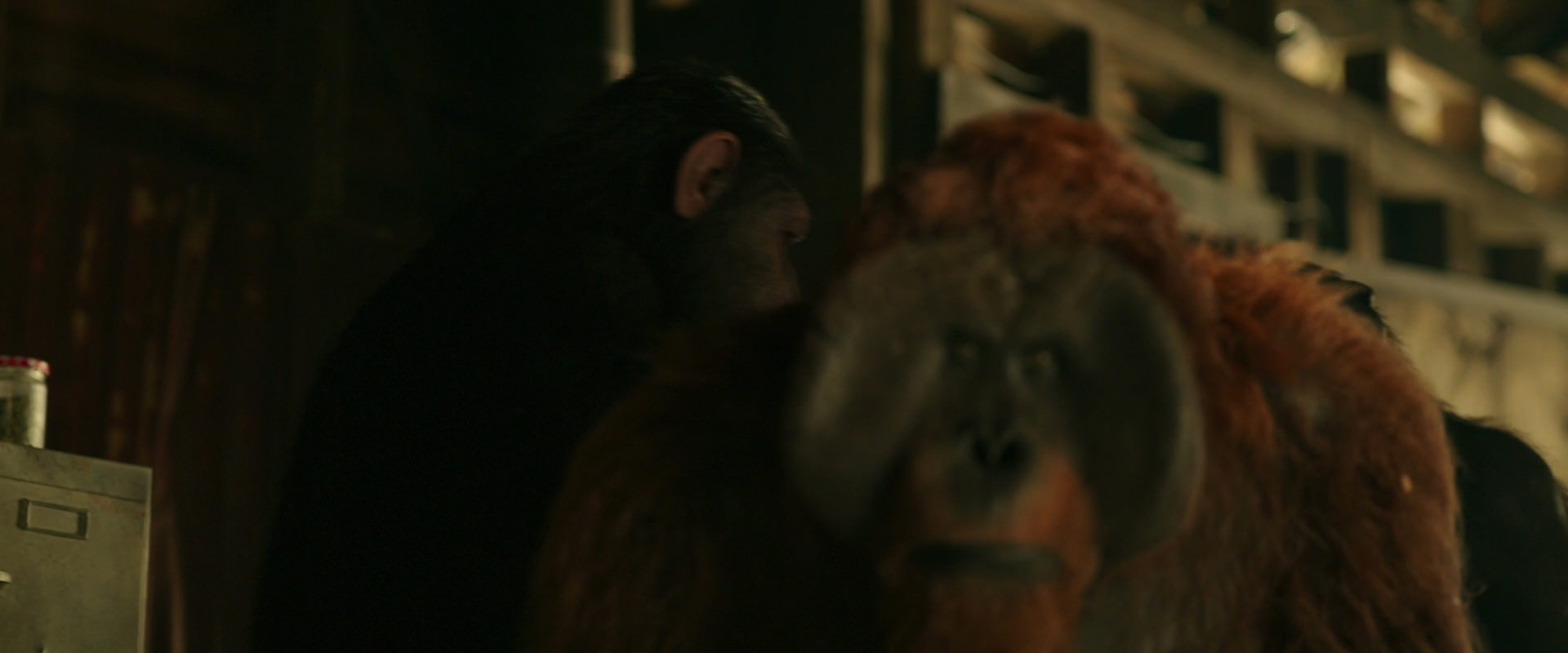 War for the Planet of the Apes (2017) movie still 3520