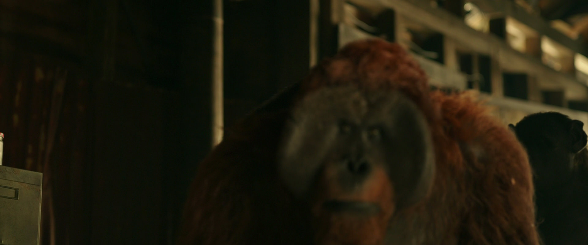 War for the Planet of the Apes (2017) HD screenshot 3521