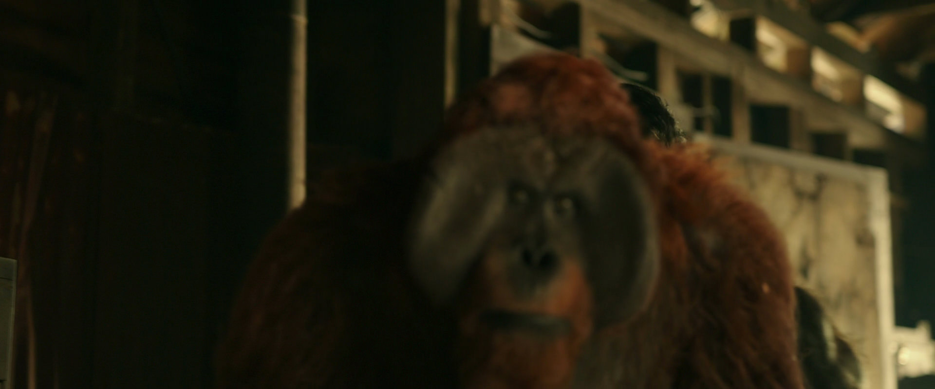 War for the Planet of the Apes (2017) screencap 3522