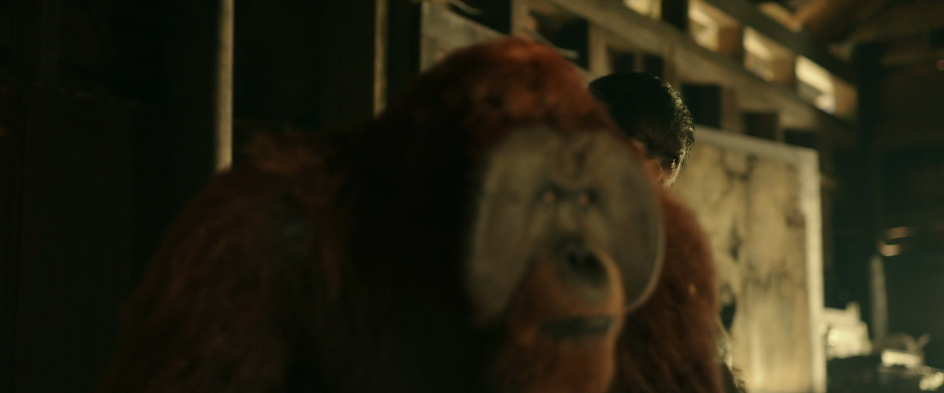 War for the Planet of the Apes (2017) movie still 3523