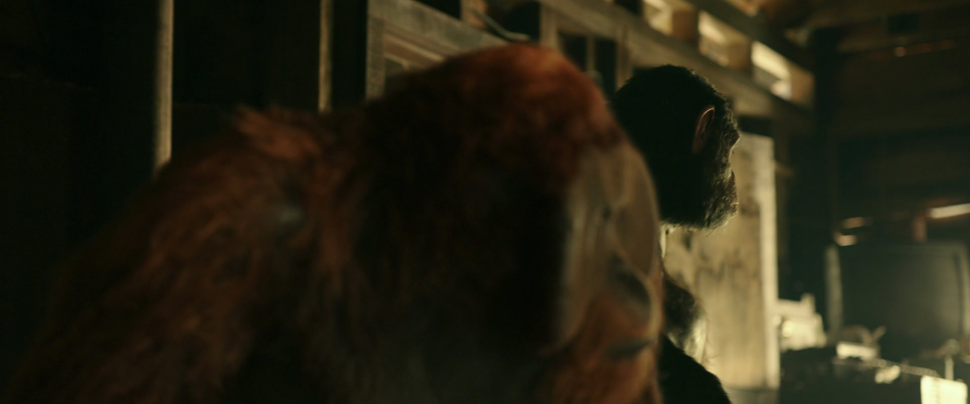 War for the Planet of the Apes (2017) HD screenshot 3524