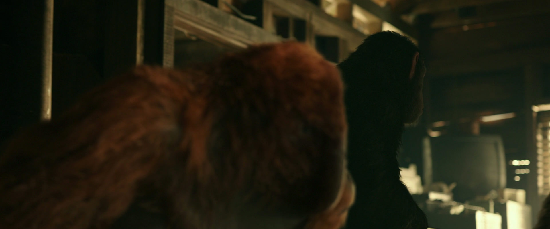 War for the Planet of the Apes (2017) screencap 3525