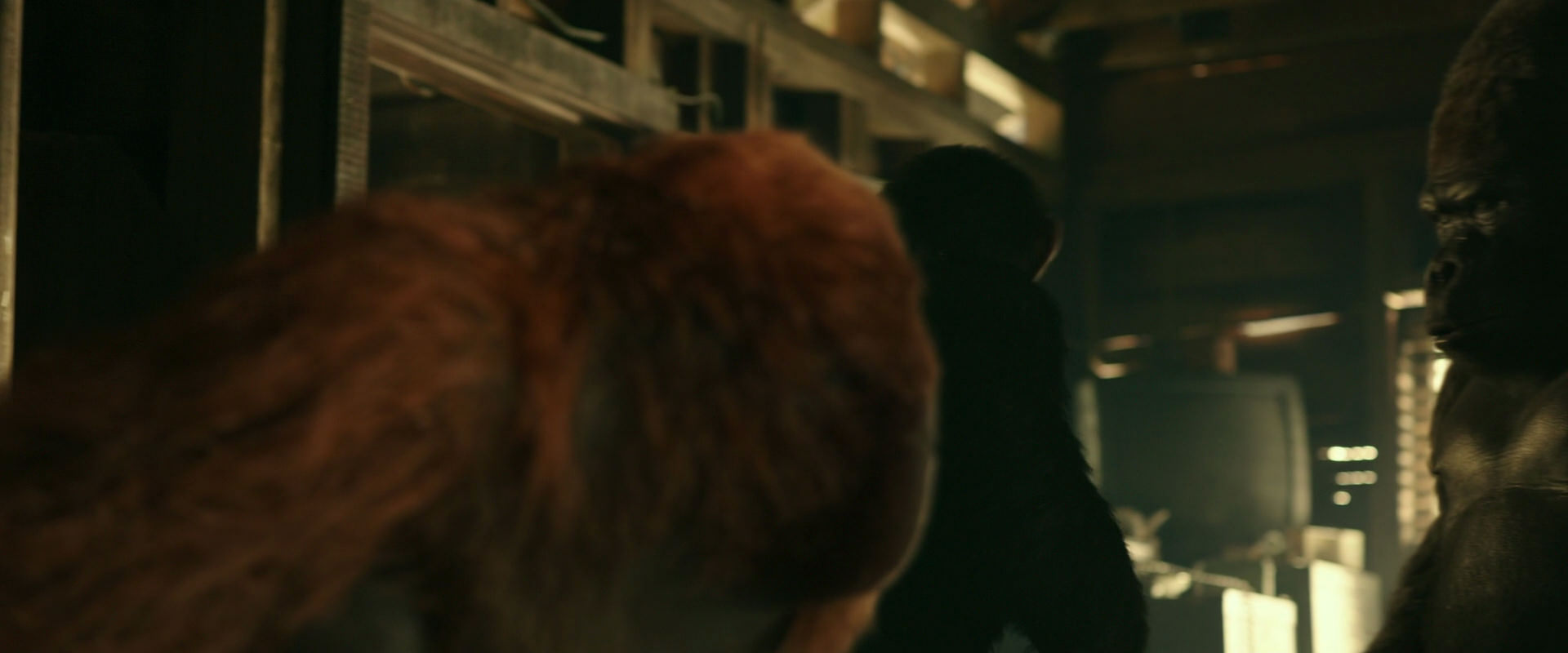 War for the Planet of the Apes (2017) movie still 3526