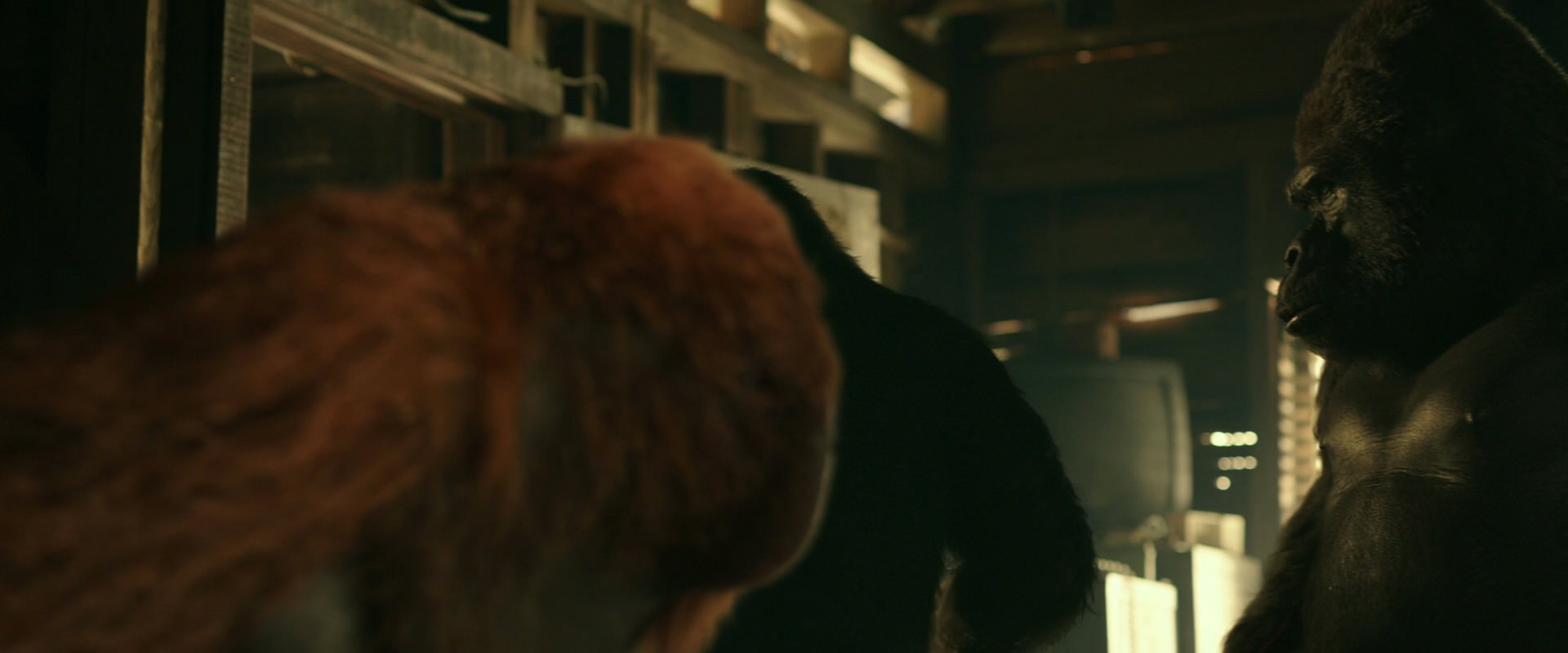 War for the Planet of the Apes (2017) HD screenshot 3527