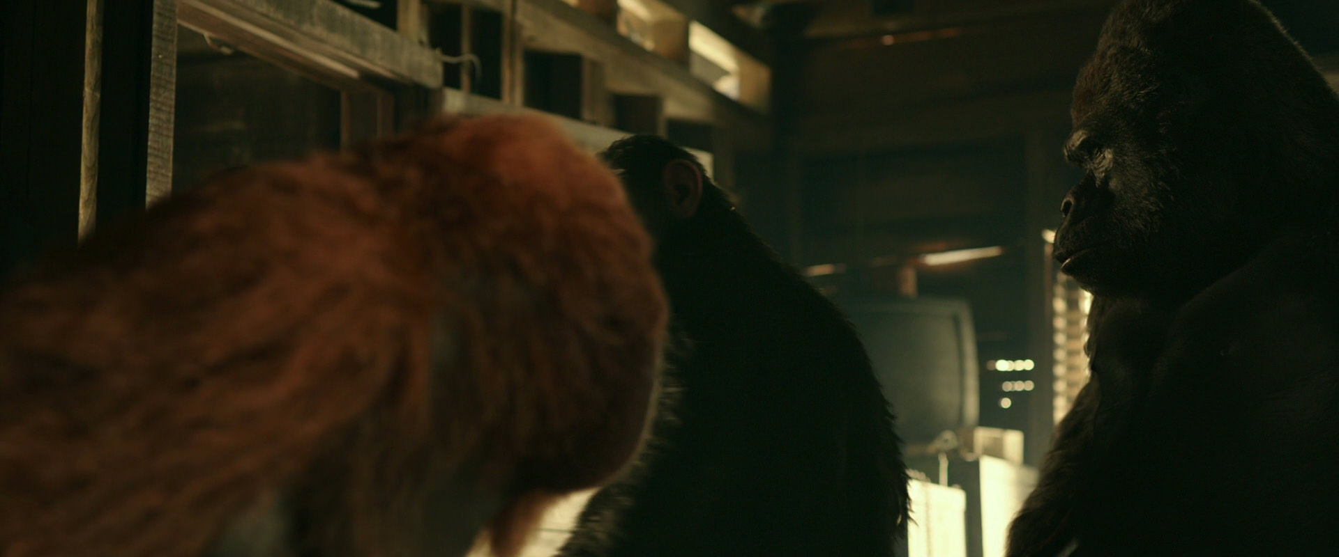 War for the Planet of the Apes (2017) screencap 3528