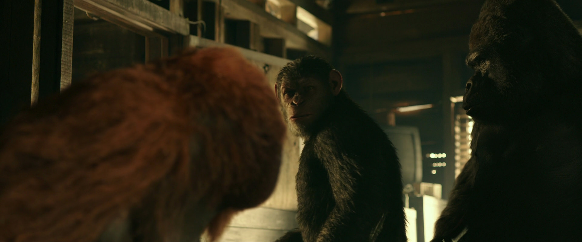 War for the Planet of the Apes (2017) movie still 3529