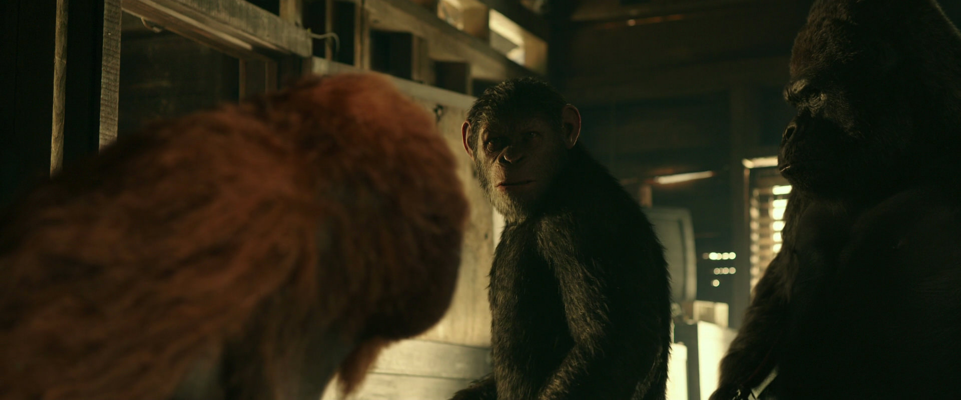 War for the Planet of the Apes (2017) HD screenshot 3530