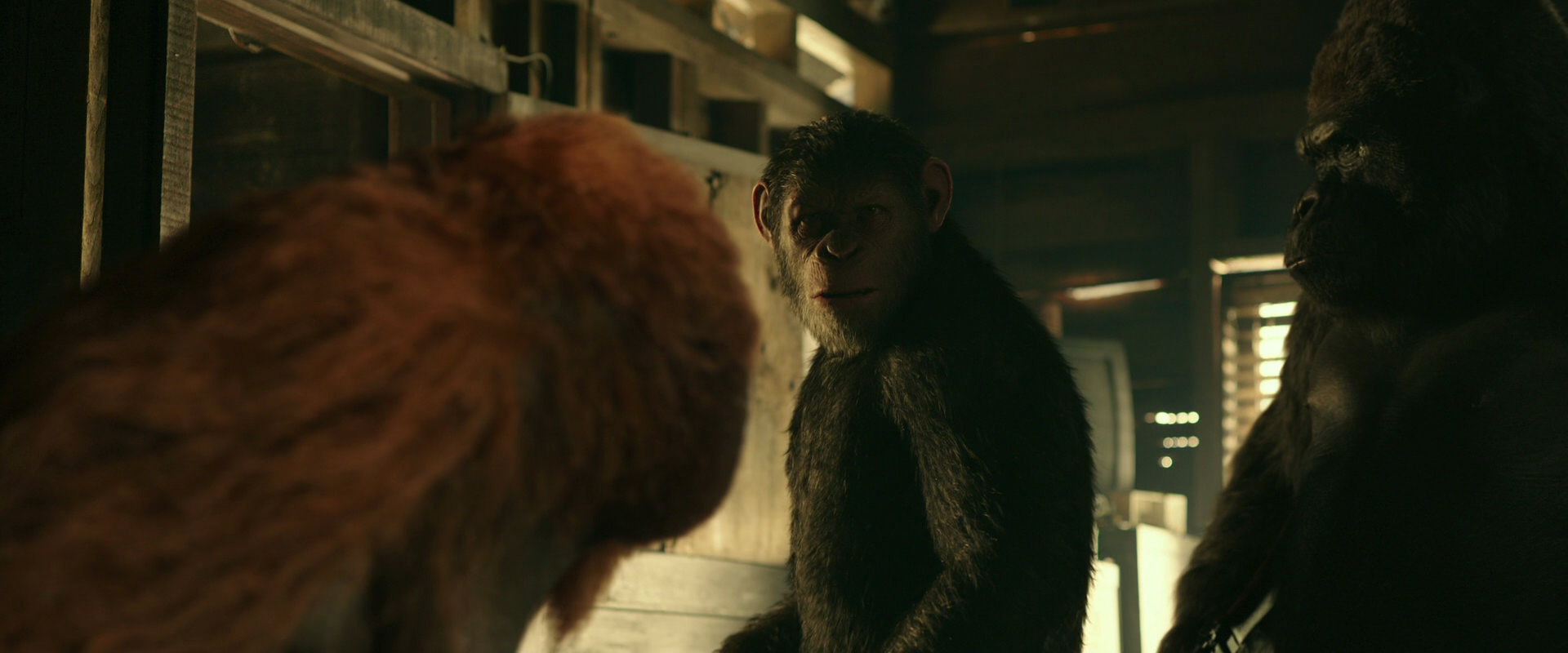 War for the Planet of the Apes (2017) screencap 3531