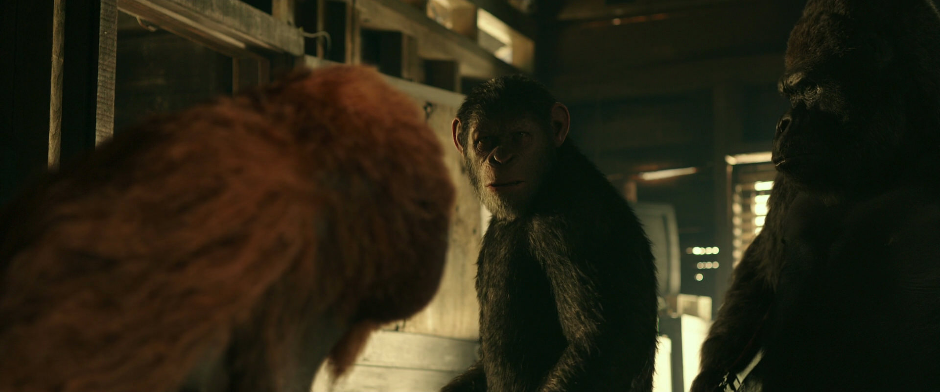 War for the Planet of the Apes (2017) movie still 3532