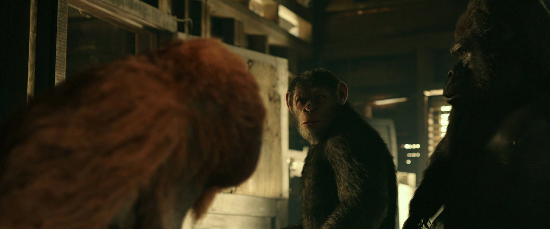 War for the Planet of the Apes (2017) HD screenshot 3533