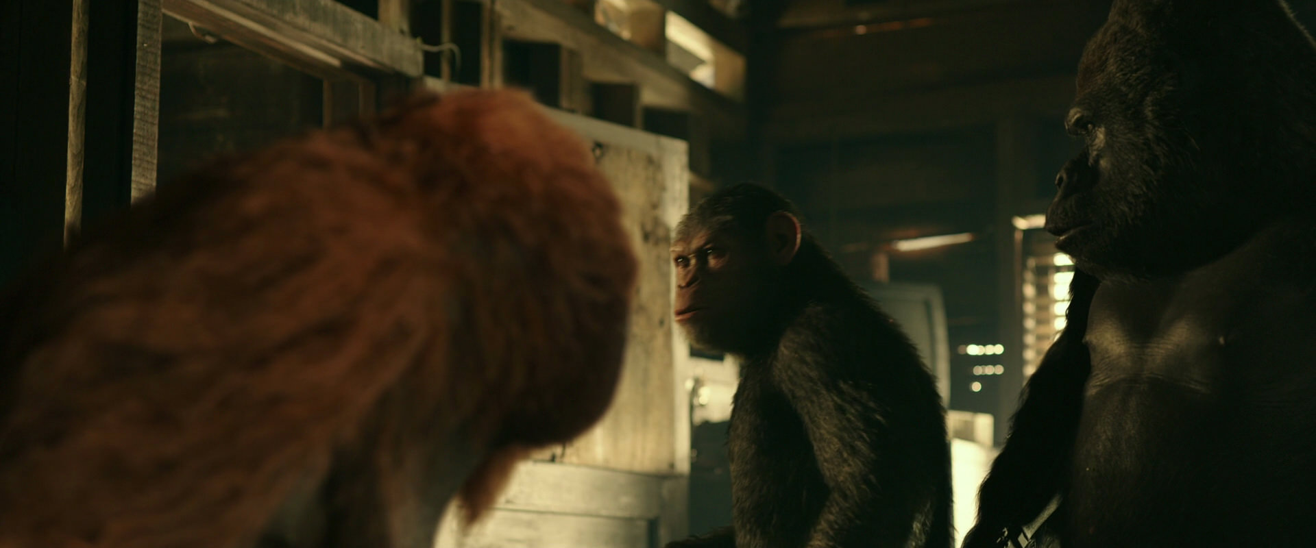 War for the Planet of the Apes (2017) screencap 3534