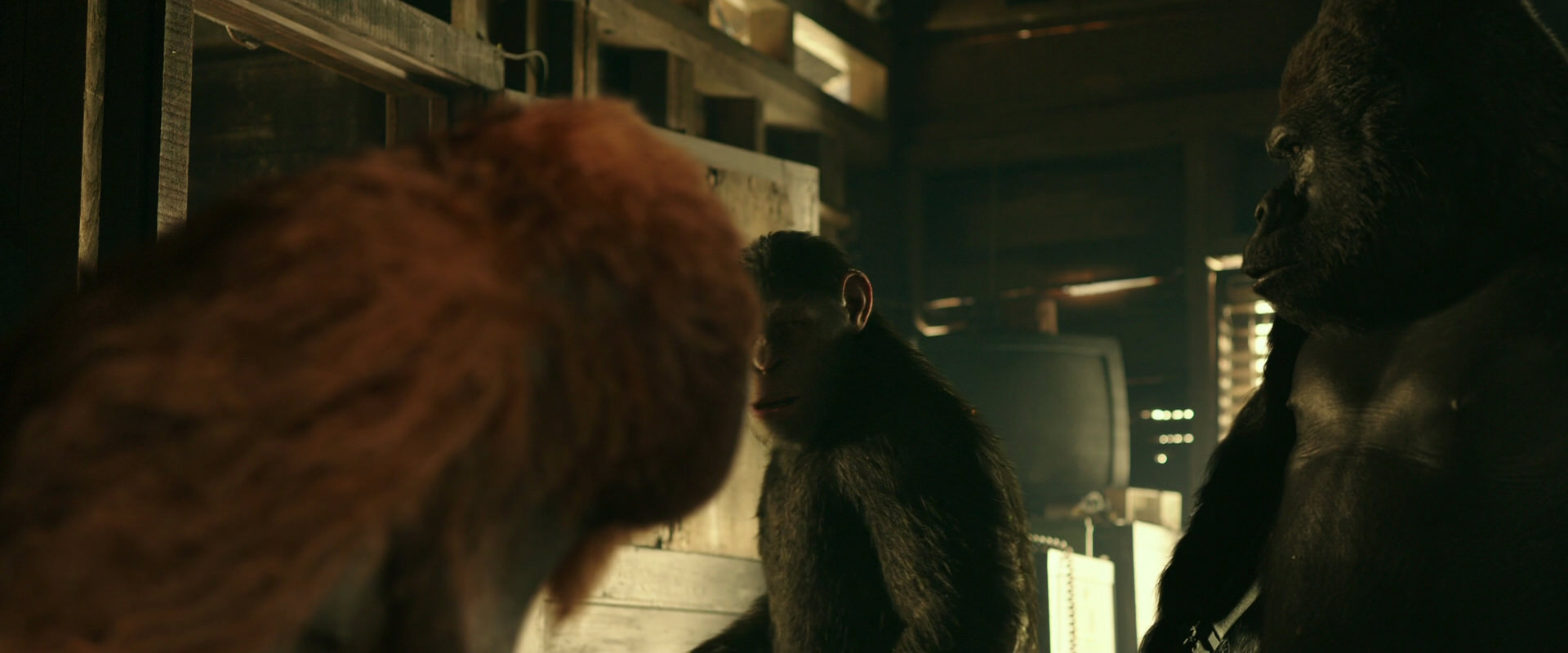 War for the Planet of the Apes (2017) movie still 3535