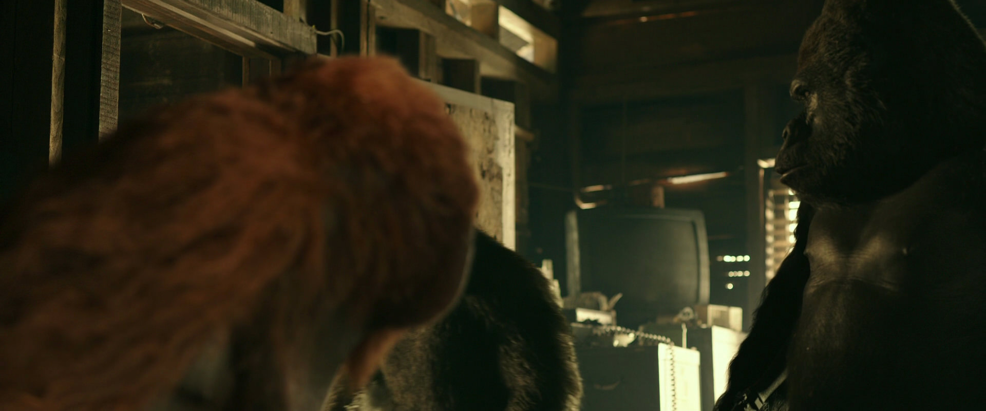 War for the Planet of the Apes (2017) HD screenshot 3536