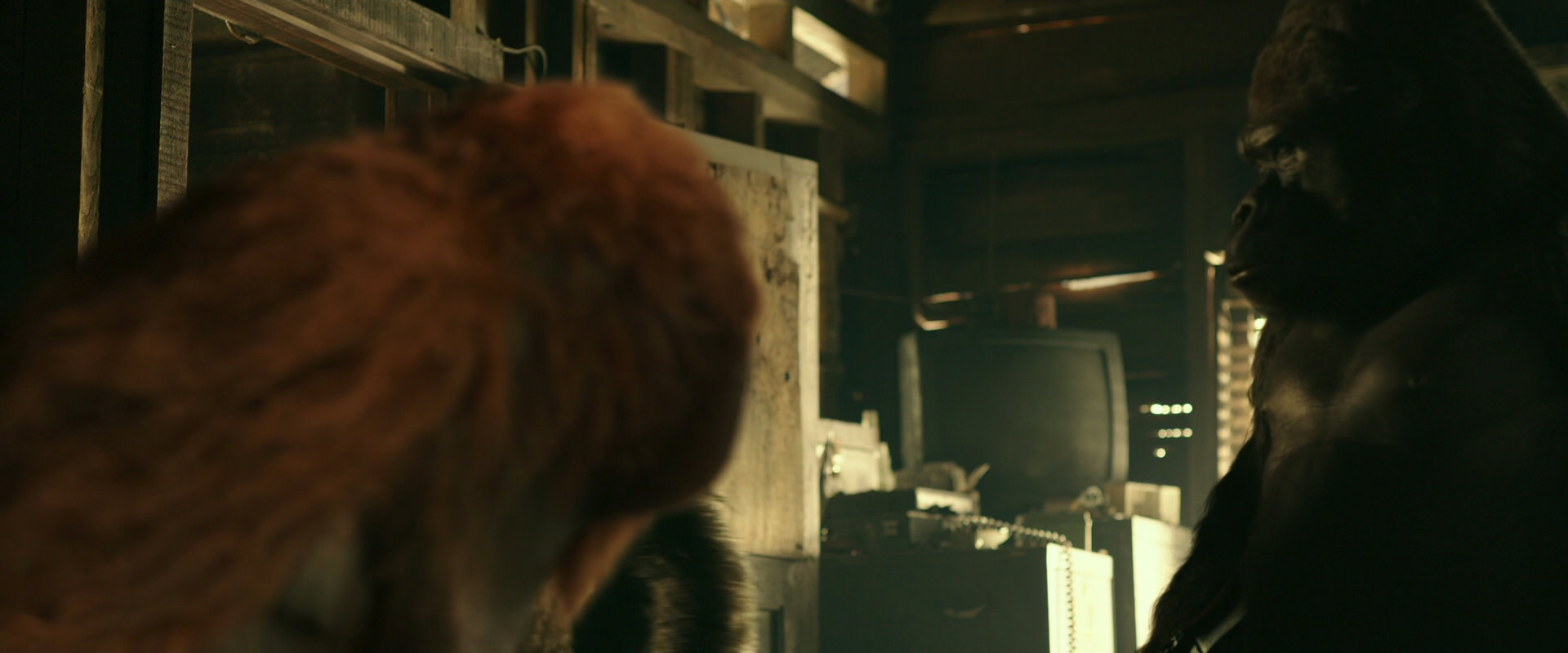 War for the Planet of the Apes (2017) screencap 3537