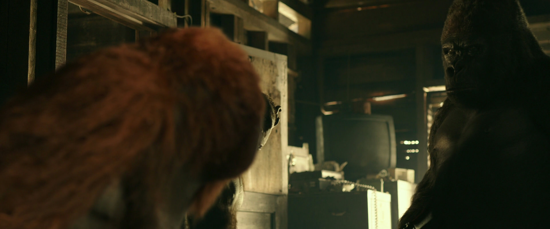 War for the Planet of the Apes (2017) movie still 3538