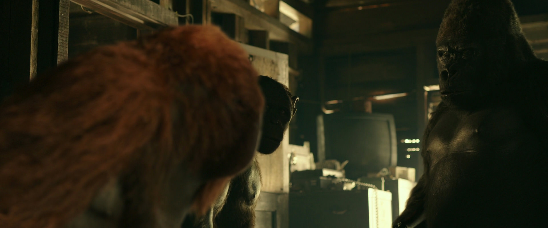 War for the Planet of the Apes (2017) HD screenshot 3539