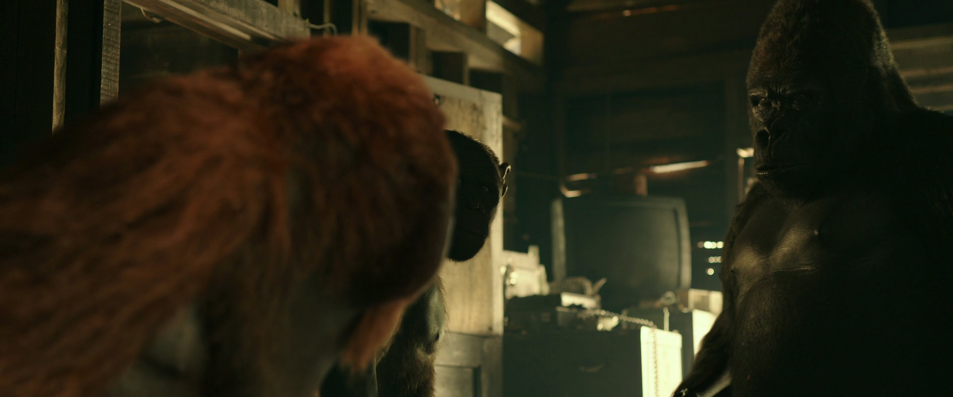 War for the Planet of the Apes (2017) screencap 3540