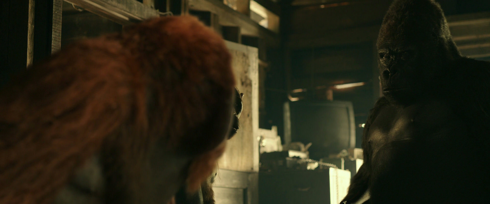 War for the Planet of the Apes (2017) movie still 3541