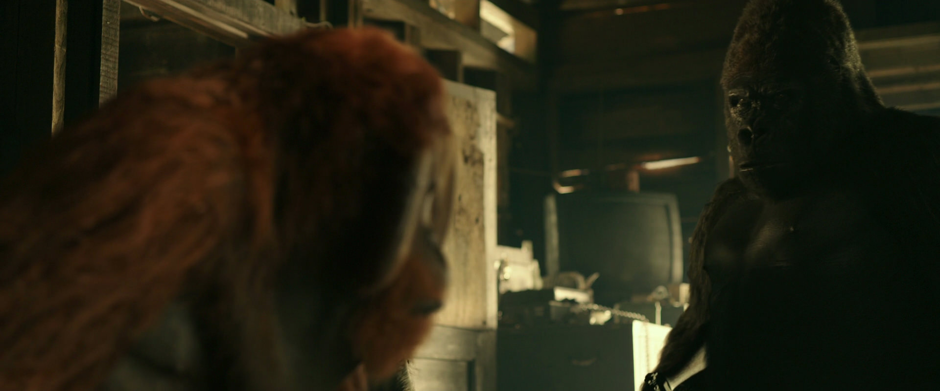 War for the Planet of the Apes (2017) HD screenshot 3542