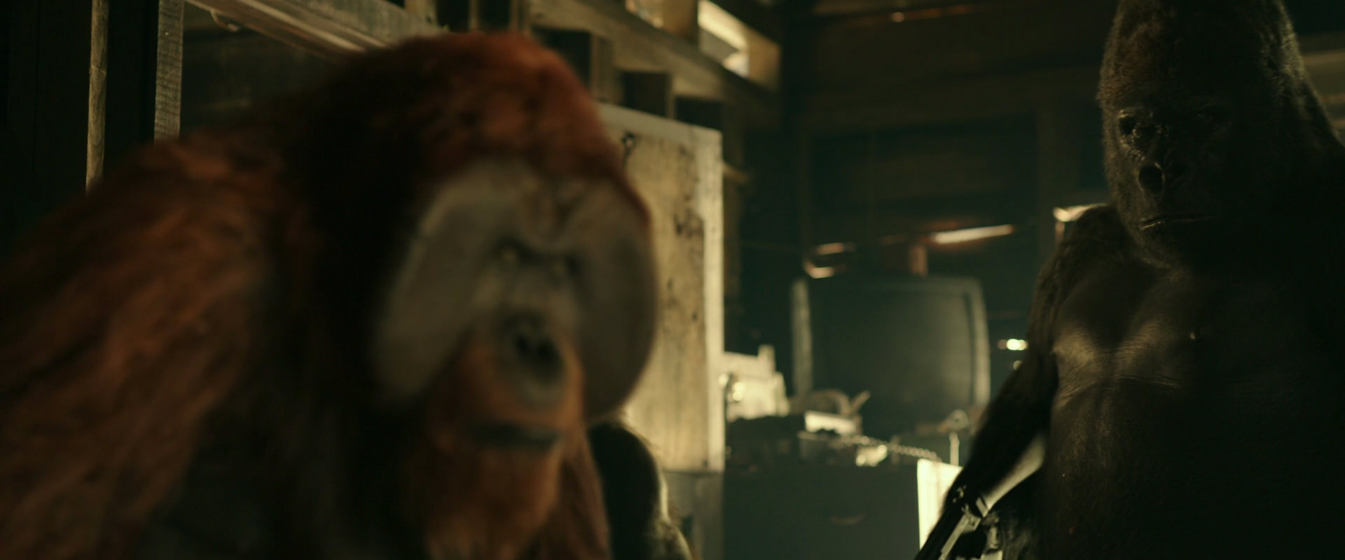 War for the Planet of the Apes (2017) screencap 3543