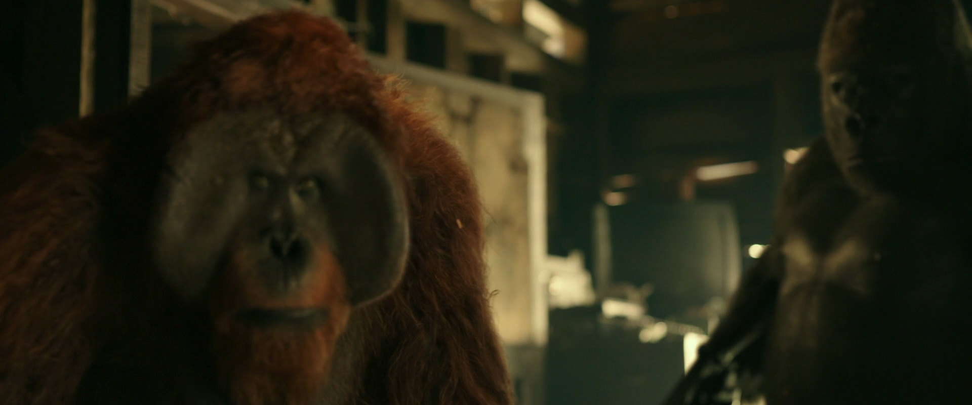 War for the Planet of the Apes (2017) movie still 3544