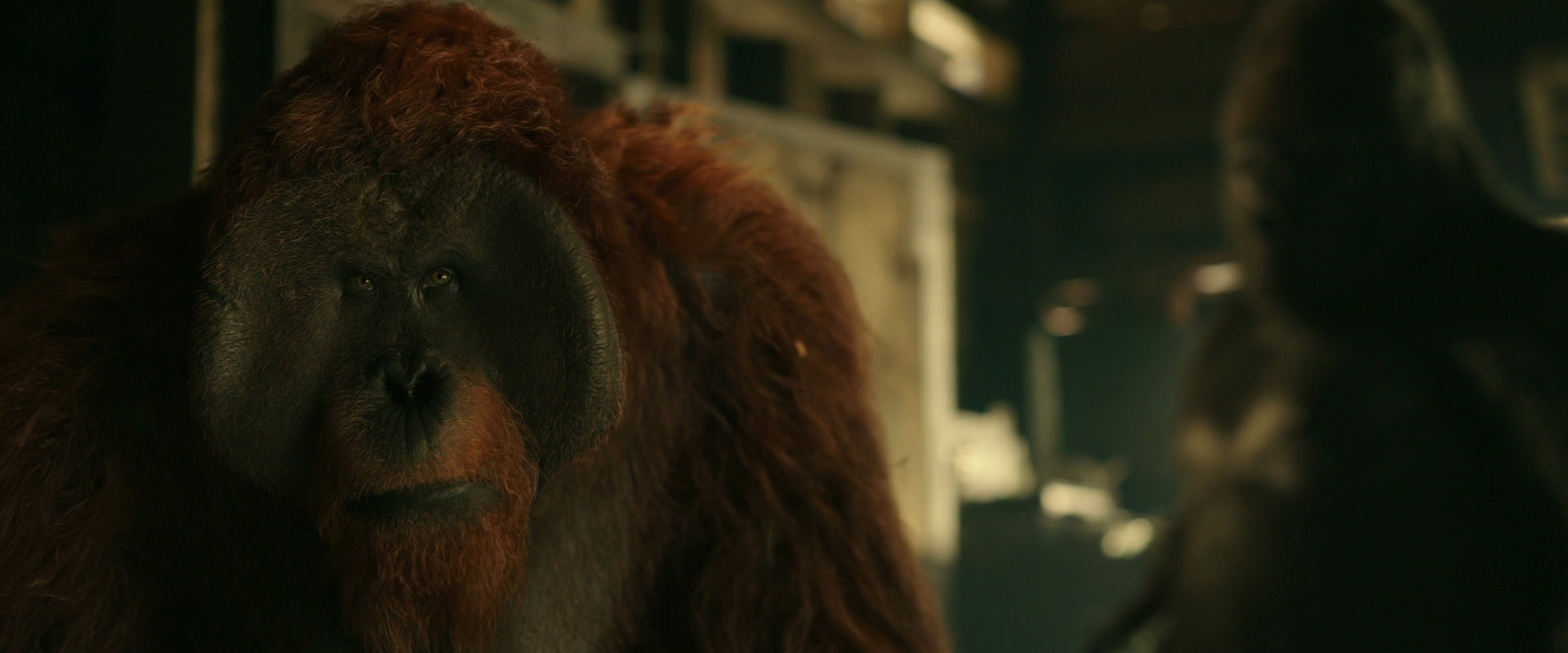 War for the Planet of the Apes (2017) HD screenshot 3545