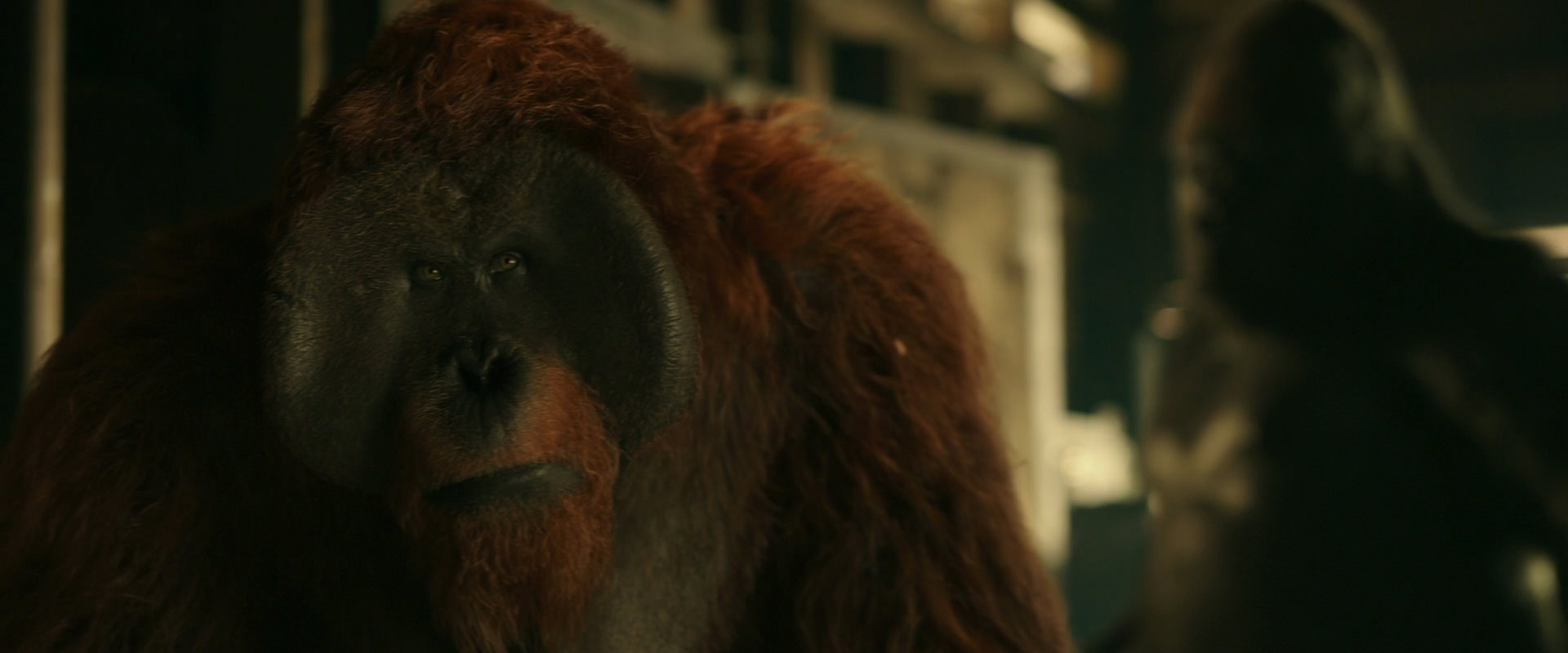 War for the Planet of the Apes (2017) screencap 3546