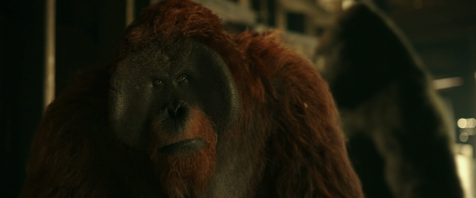 War for the Planet of the Apes (2017) movie still 3547