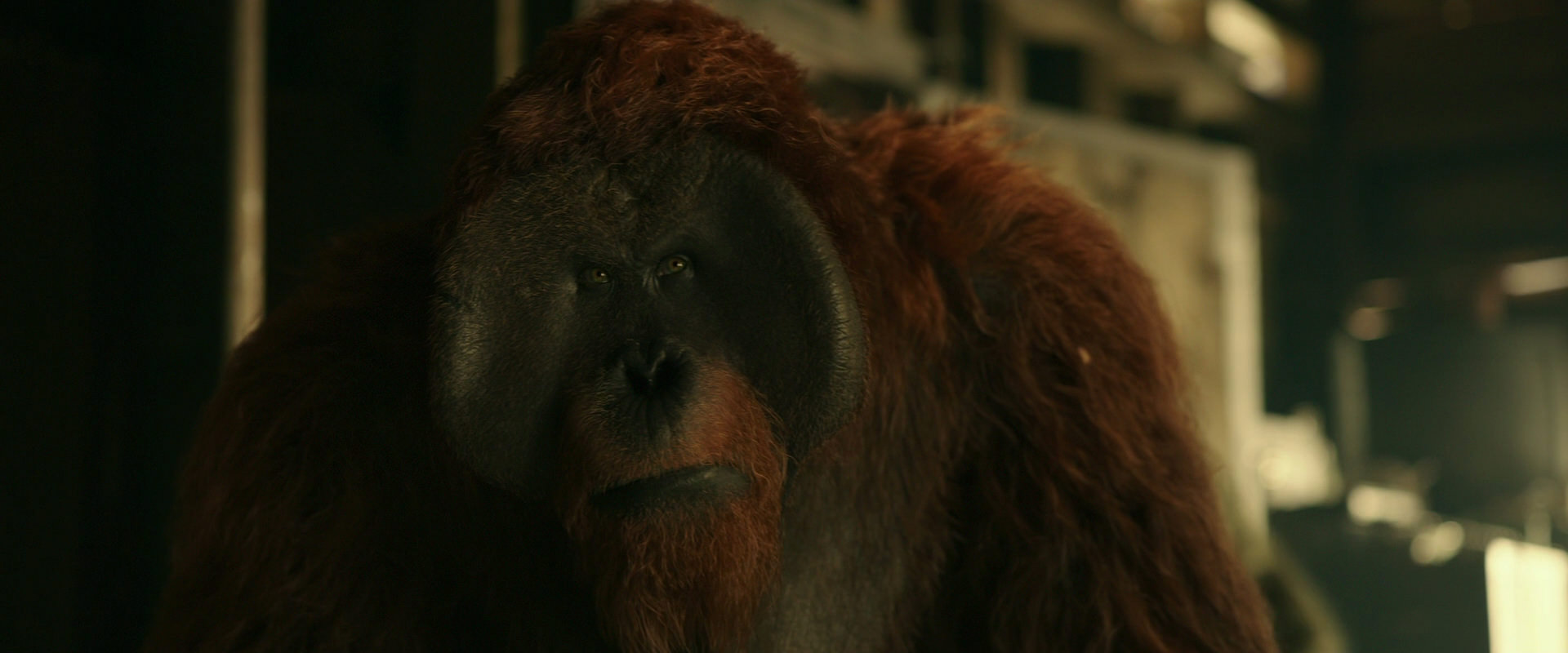 War for the Planet of the Apes (2017) HD screenshot 3548