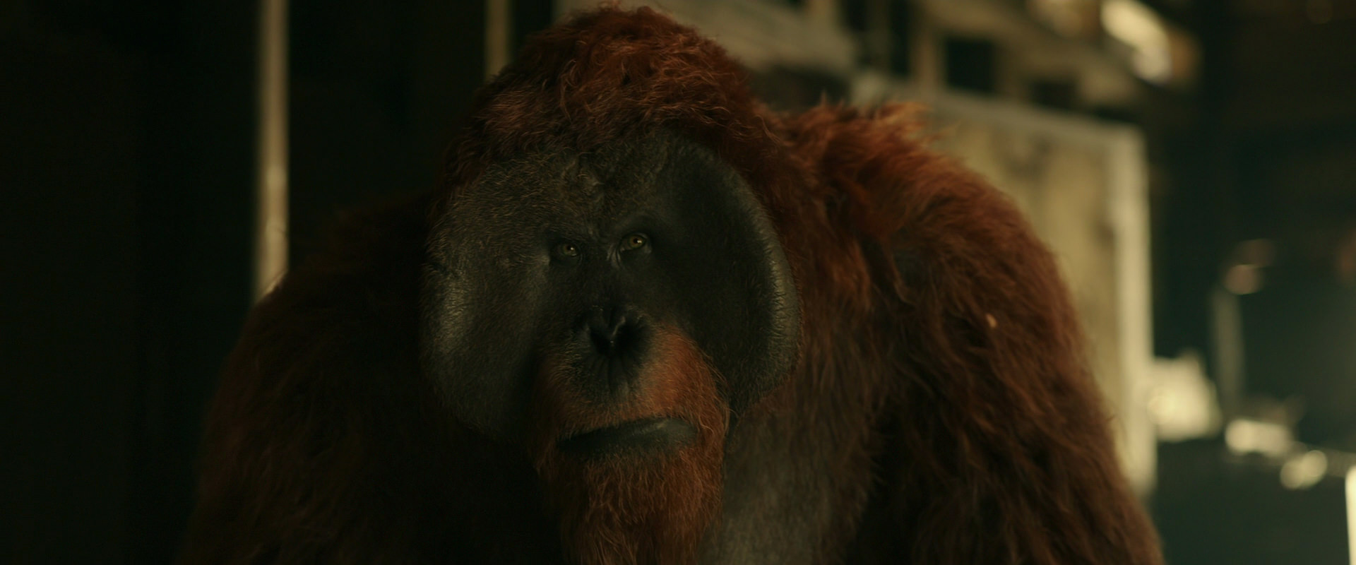 War for the Planet of the Apes (2017) screencap 3549