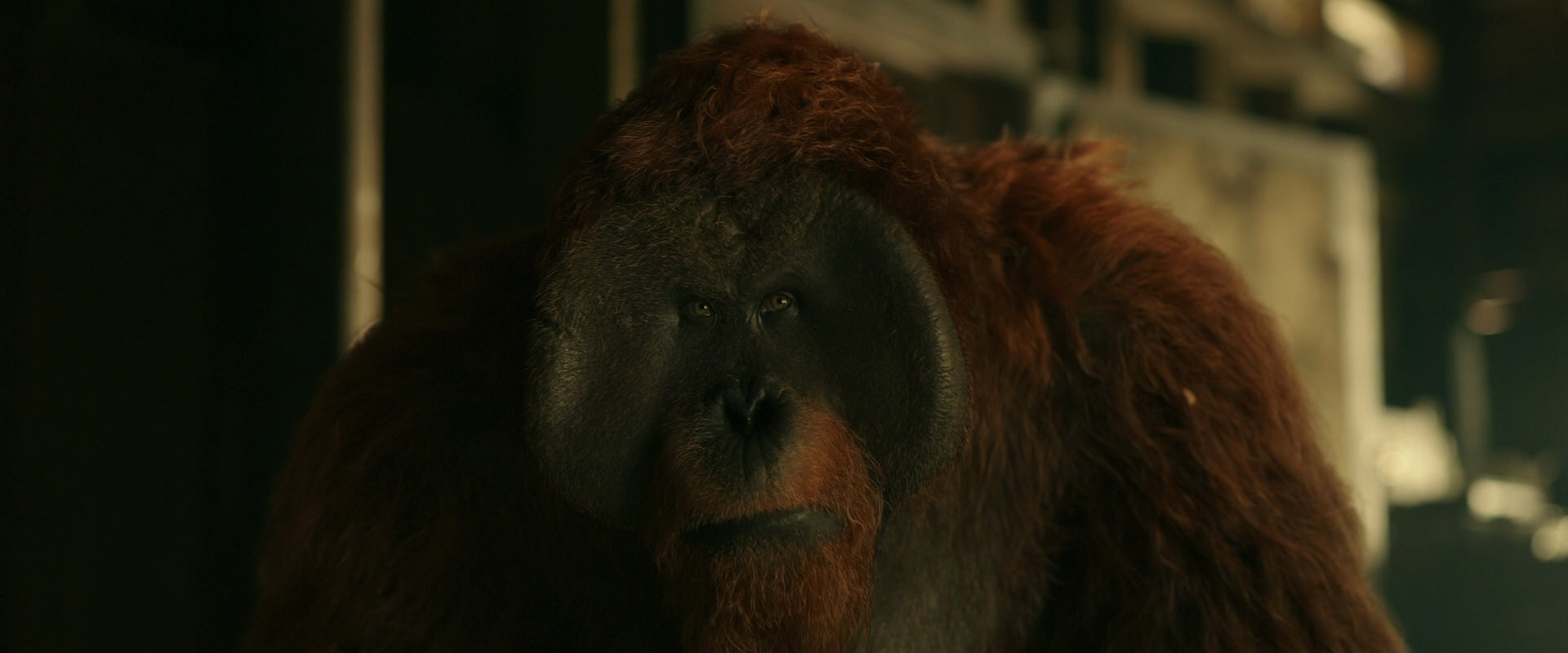 War for the Planet of the Apes (2017) movie still 3550