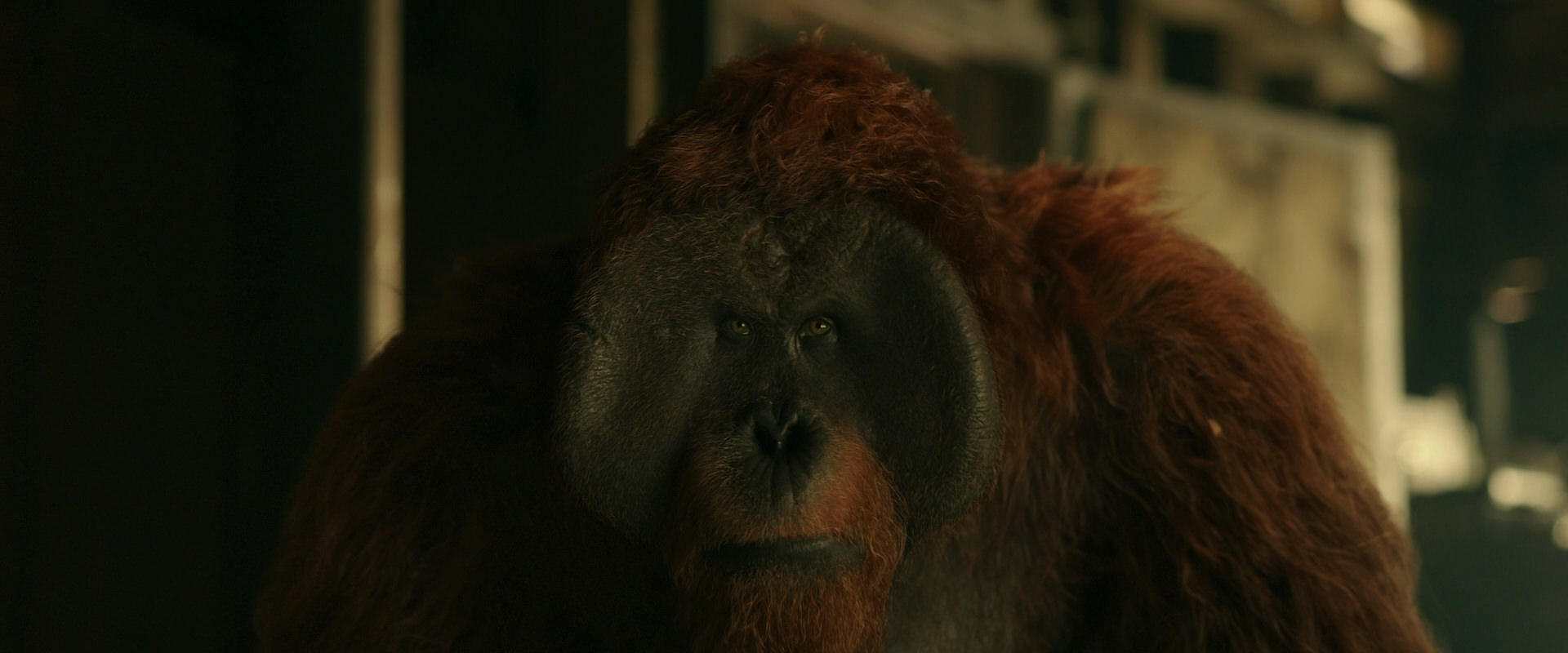 War for the Planet of the Apes (2017) HD screenshot 3551