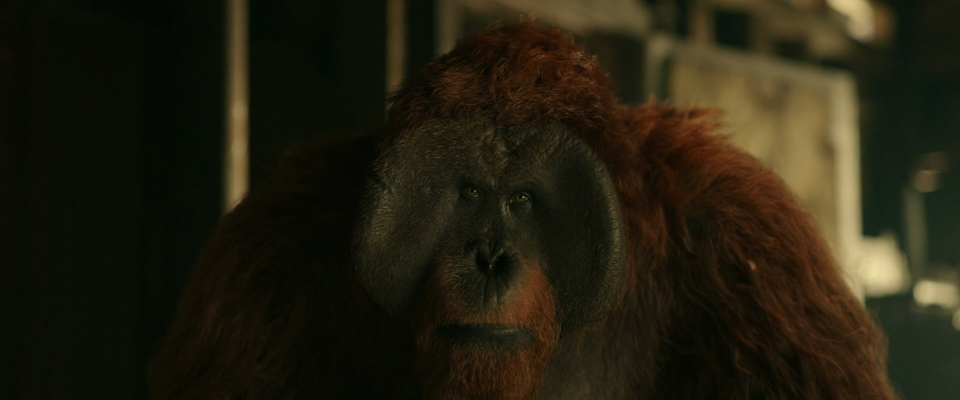 War for the Planet of the Apes (2017) screencap 3552