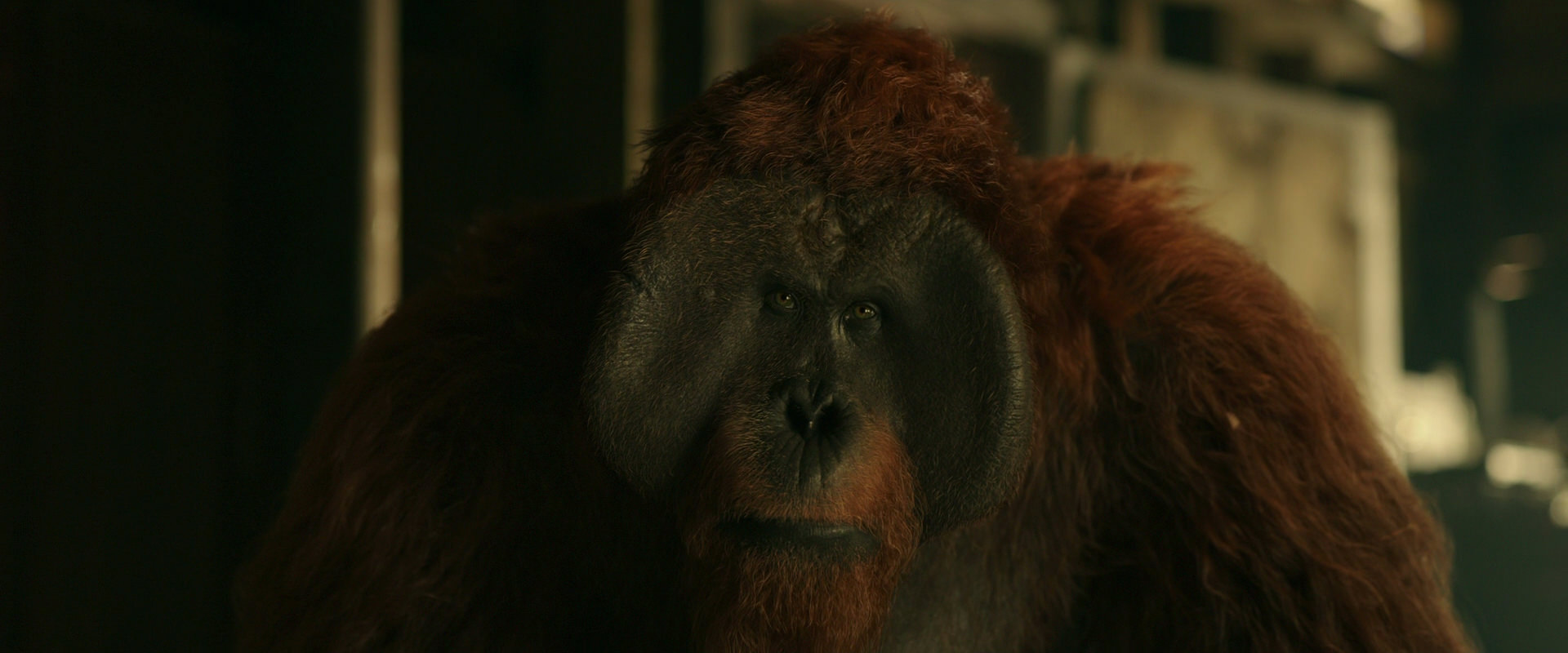 War for the Planet of the Apes (2017) movie still 3553