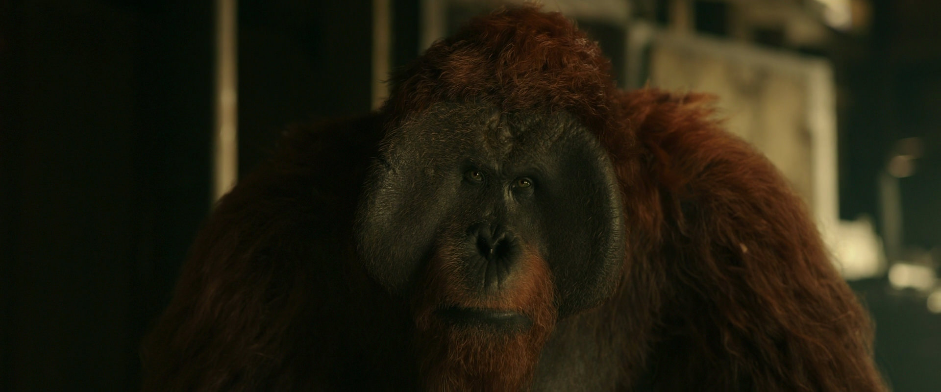 War for the Planet of the Apes (2017) HD screenshot 3554