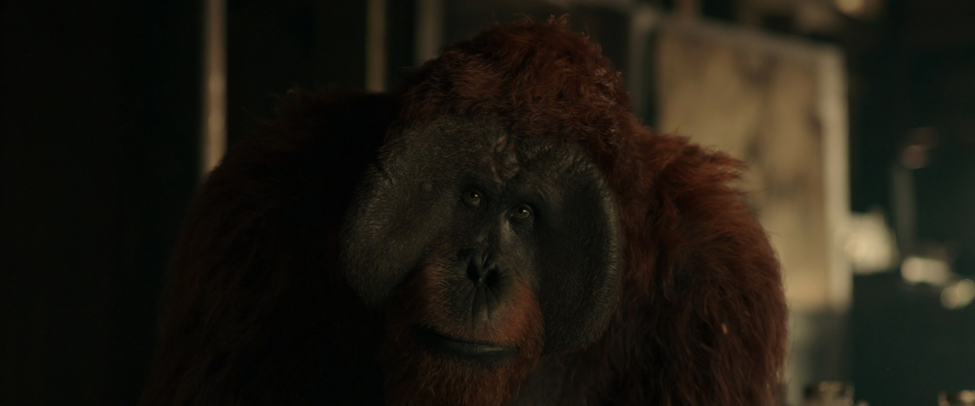 War for the Planet of the Apes (2017) screencap 3561