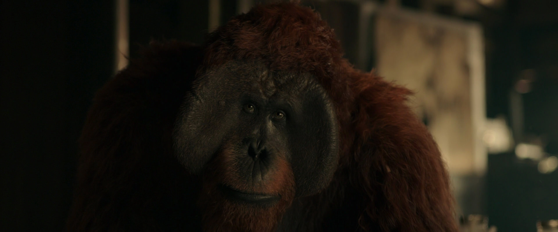 War for the Planet of the Apes (2017) movie still 3562