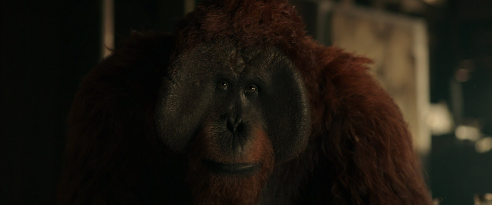 War for the Planet of the Apes (2017) HD screenshot 3563